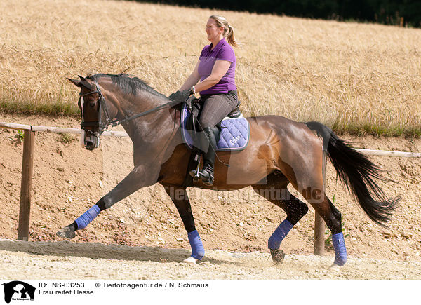 Frau reitet Hesse / woman rides Hessian warmblood / NS-03253