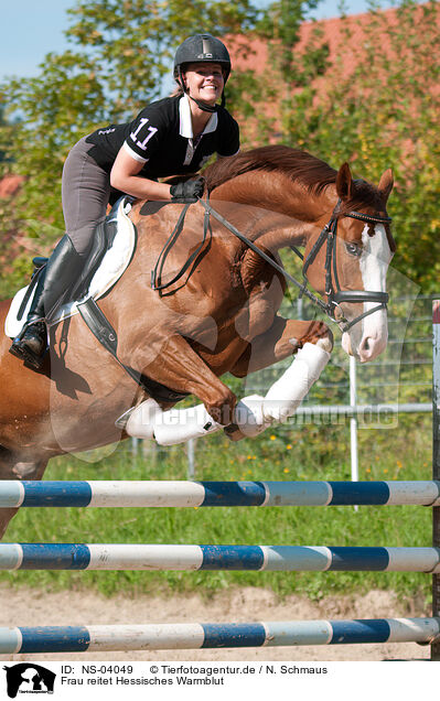 Frau reitet Hessisches Warmblut / woman rides Hessian Warmblood / NS-04049