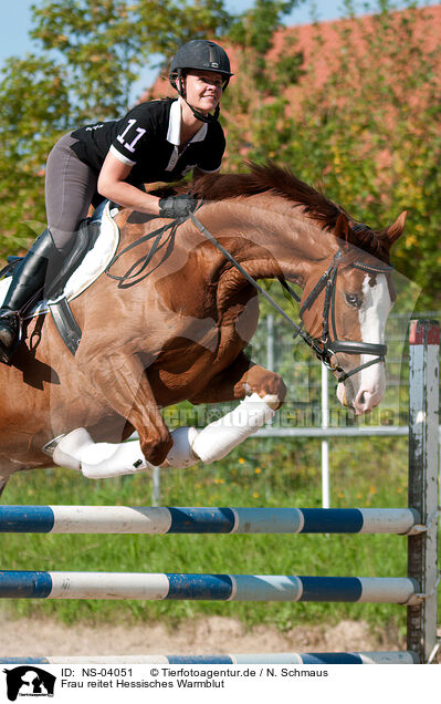 Frau reitet Hessisches Warmblut / NS-04051