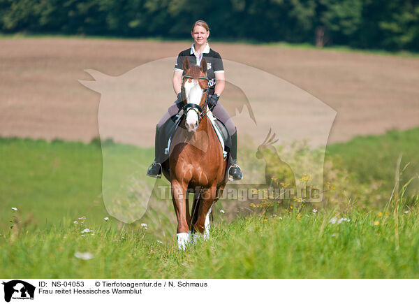 Frau reitet Hessisches Warmblut / NS-04053