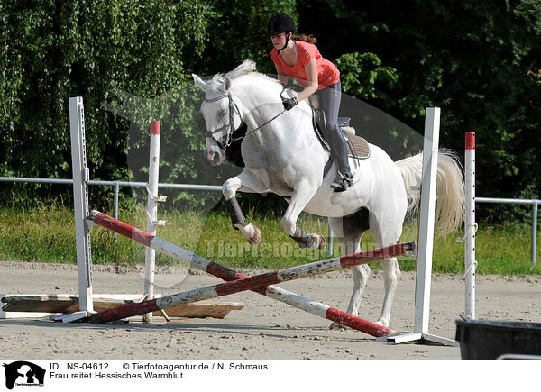 Frau reitet Hessisches Warmblut / woman rides Hessian Warmblood / NS-04612