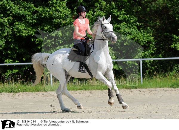 Frau reitet Hessisches Warmblut / woman rides Hessian Warmblood / NS-04614