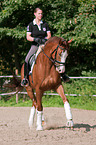 Frau reitet Hessisches Warmblut