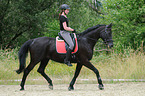 Frau reitet Hessisches Warmblut