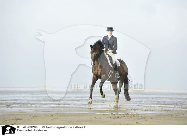 Frau reitet Holsteiner / woman rides Holsteiner warmblood / AP-09286