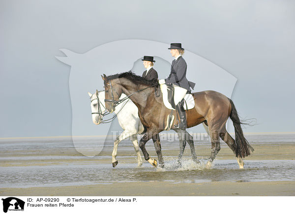 Frauen reiten Pferde / AP-09290