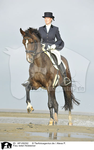 Frau reitet Holsteiner / woman rides Holsteiner warmblood / AP-09292