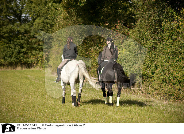 Frauen reiten Pferde / women rides horses / AP-11341