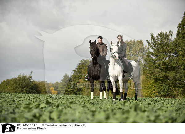 Frauen reiten Pferde / AP-11345