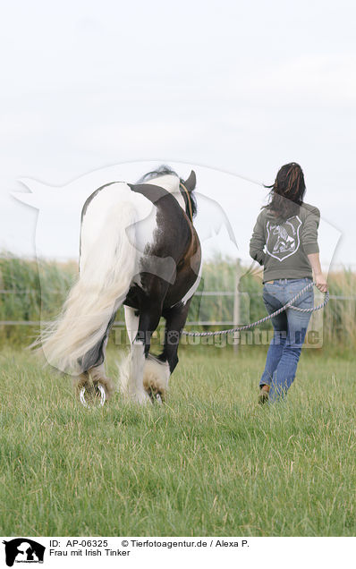 Frau mit Irish Tinker / woman and Irish Tinker / AP-06325