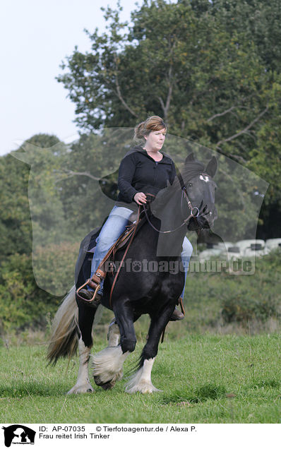 Frau reitet Irish Tinker / woman rides Irish Tinker / AP-07035
