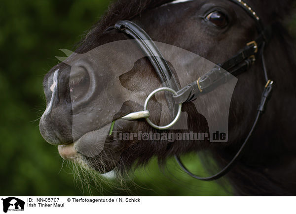 Irish Tinker Maul / Irish Tinker mouth / NN-05707