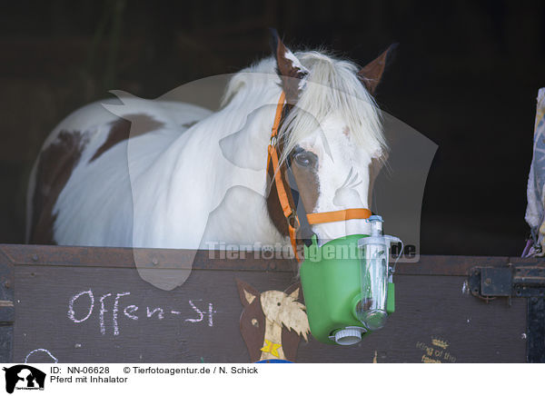 Pferd mit Inhalator / Horse with inhalator / NN-06628