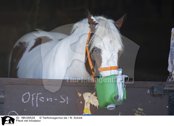 Pferd mit Inhalator / NN-06628