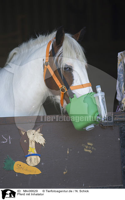 Pferd mit Inhalator / Horse with inhalator / NN-06629