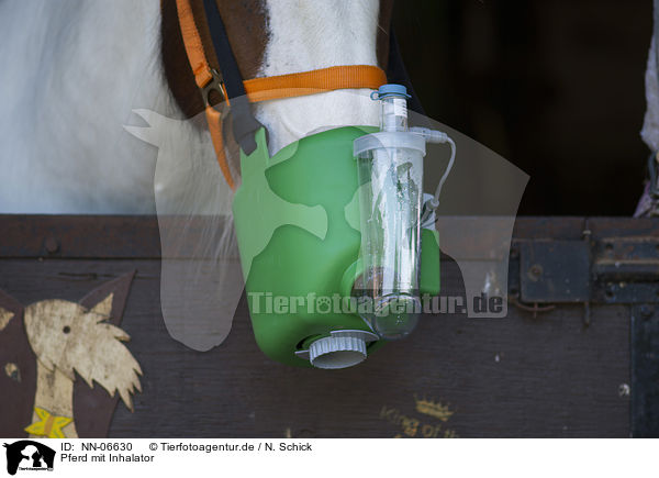 Pferd mit Inhalator / NN-06630