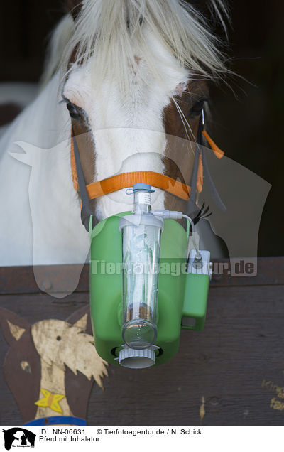 Pferd mit Inhalator / NN-06631