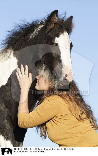 Frau und Irish Tinker Fohlen / woman and Irish Tinker foal / EHO-01728