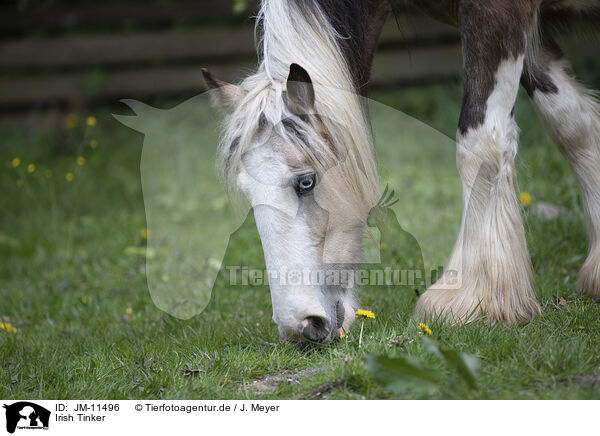 Irish Tinker / Irish Tinker / JM-11496