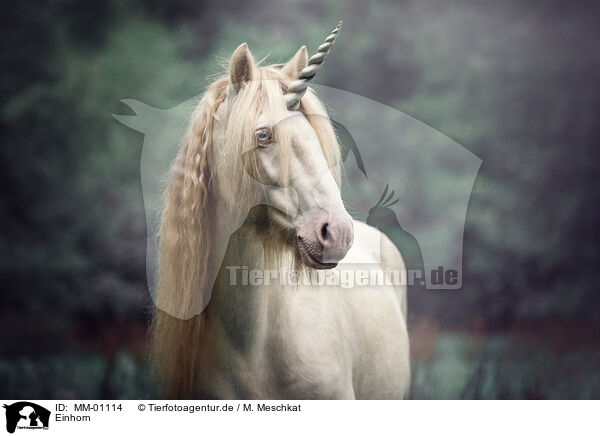 Einhorn / unicorn / MM-01114