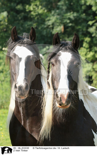 2 Irish Tinker / 2 Irish Tinker / HL-03330