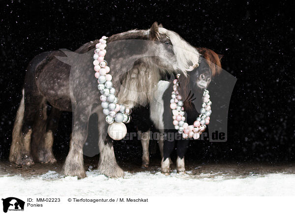 Ponies / MM-02223