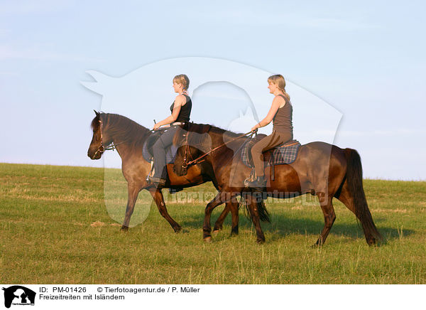 Freizeitreiten mit Islndern / riding with Icelandic horses / PM-01426