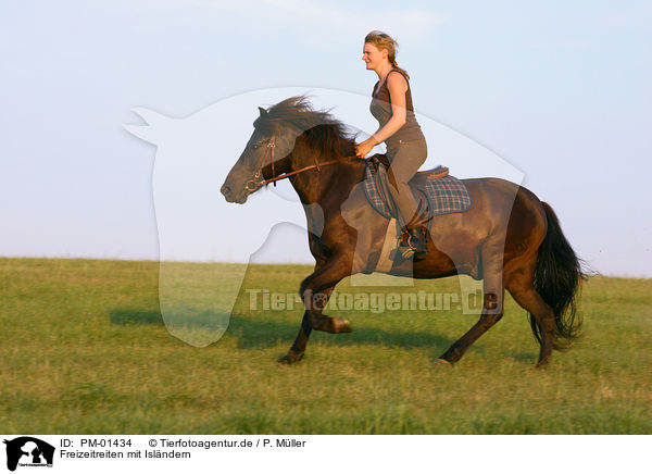 Freizeitreiten mit Islndern / riding with Icelandic horse / PM-01434