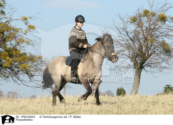 Freizeitreiten / riding / PM-02804