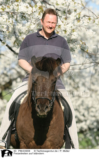 Freizeitreiten auf Islndern / riding Icelandic Horses / PM-03908