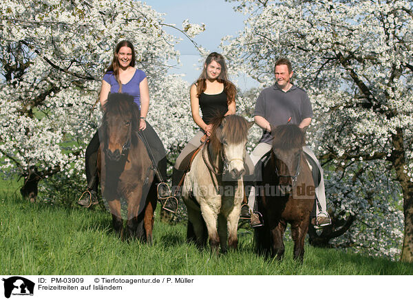 Freizeitreiten auf Islndern / riding Icelandic Horses / PM-03909