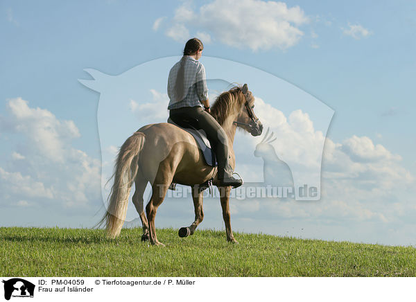 Frau auf Islnder / woman rides Icelandic horse / PM-04059
