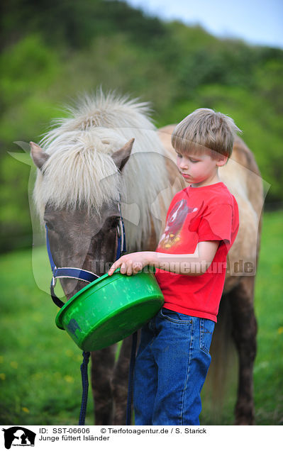 Junge fttert Islnder / boy and Icelandic horse / SST-06606