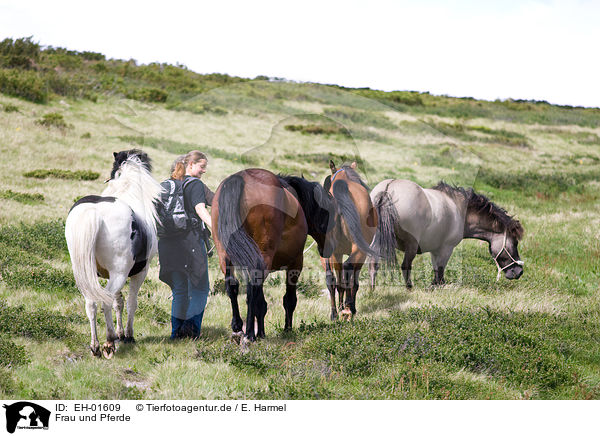 Frau und Pferde / woman and horses / EH-01609