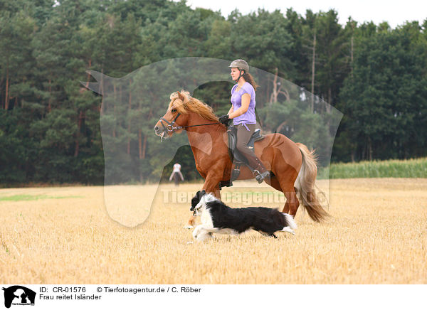 Frau reitet Islnder / woman rides Icelandic horse / CR-01576