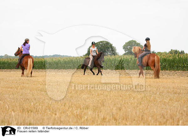 Frauen reiten Islnder / woman rides Icelandic horses / CR-01589