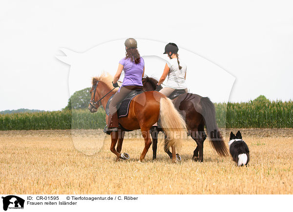 Frauen reiten Islnder / CR-01595