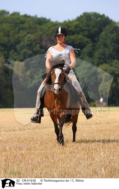 Frau reitet Islnder / woman rides Icelandic horse / CR-01636