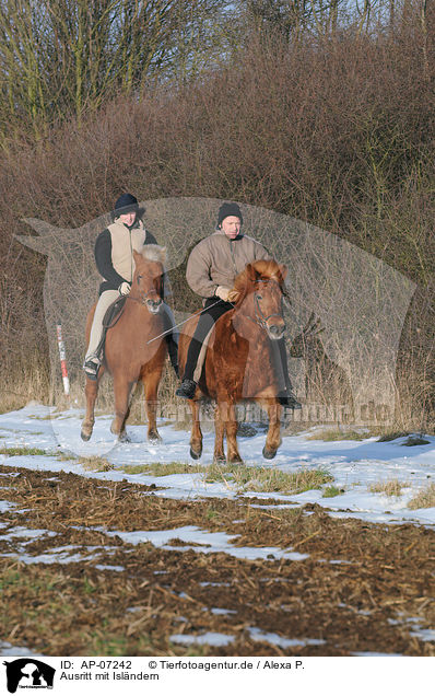 Ausritt mit Islndern / riding Icelandic horses / AP-07242