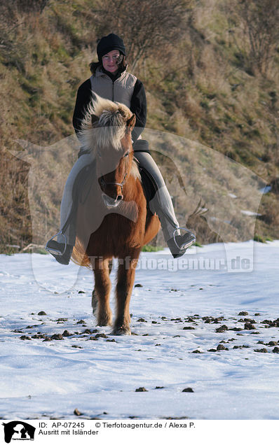 Ausritt mit Islnder / riding an Icelandic horse / AP-07245