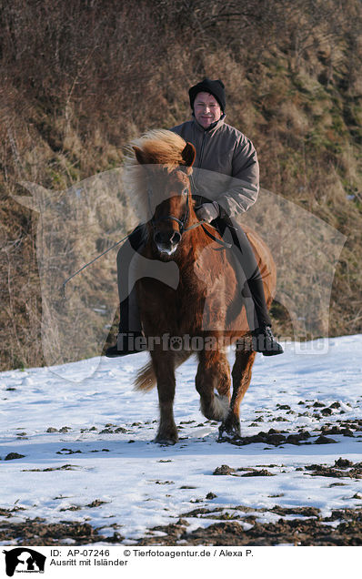Ausritt mit Islnder / riding an Icelandic horse / AP-07246