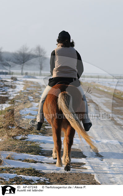 Ausritt mit Islnder / riding an Icelandic horse / AP-07248