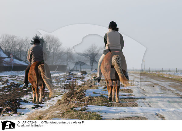 Ausritt mit Islndern / riding Icelandic horses / AP-07249
