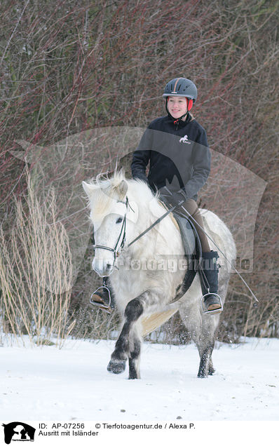 Ausritt mit Islnder / riding an Icelandic horse / AP-07256