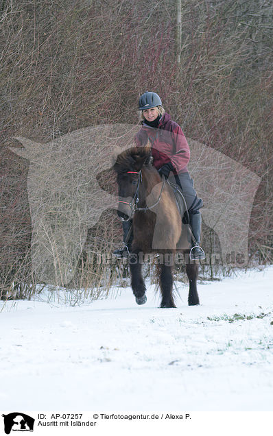 Ausritt mit Islnder / riding an Icelandic horse / AP-07257