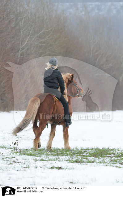 Ausritt mit Islnder / riding an Icelandic horse / AP-07259