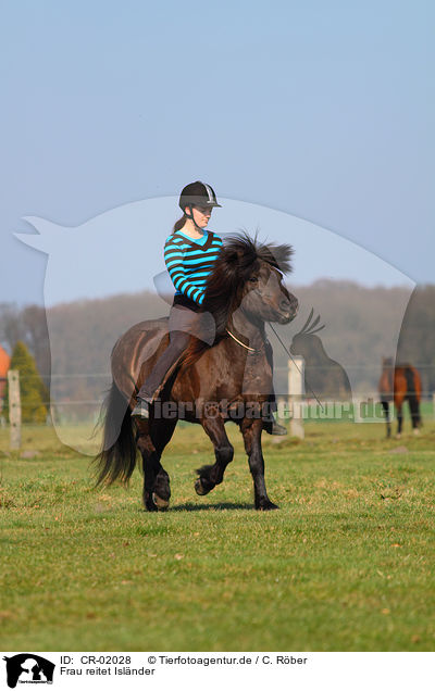 Frau reitet Islnder / woman rides Icelandic horse / CR-02028