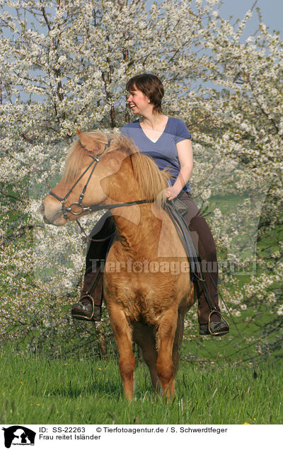 Frau reitet Islnder / woman rides Icelandic horse / SS-22263
