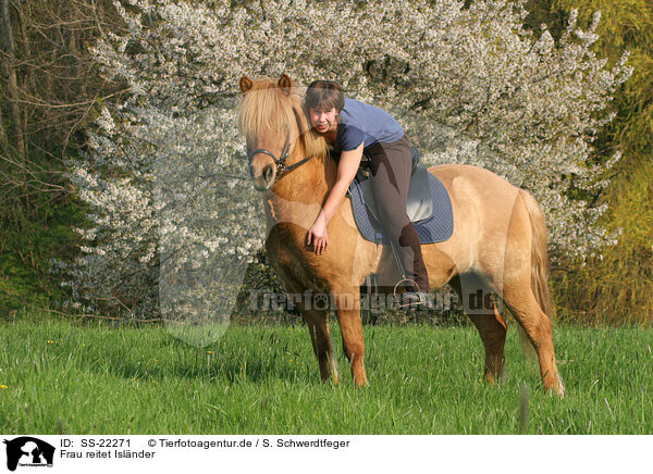 Frau reitet Islnder / woman rides Icelandic horse / SS-22271