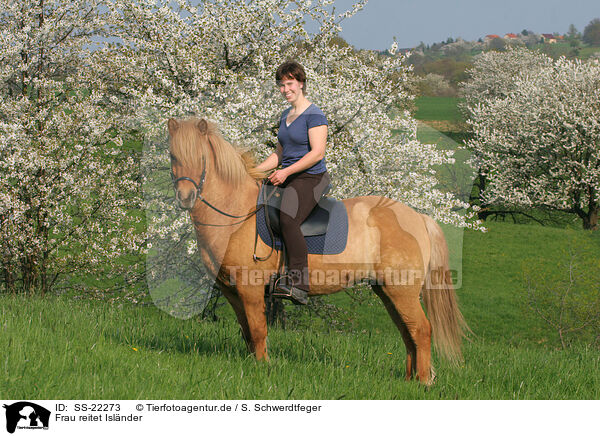 Frau reitet Islnder / woman rides Icelandic horse / SS-22273